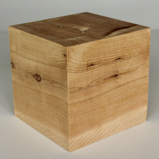 Picaso Plant Stand (8 inch)