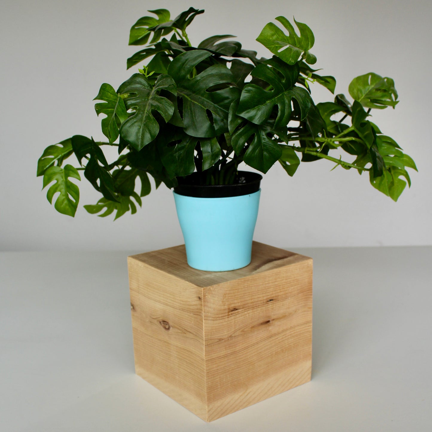 Picaso Plant Stand (8 inch)