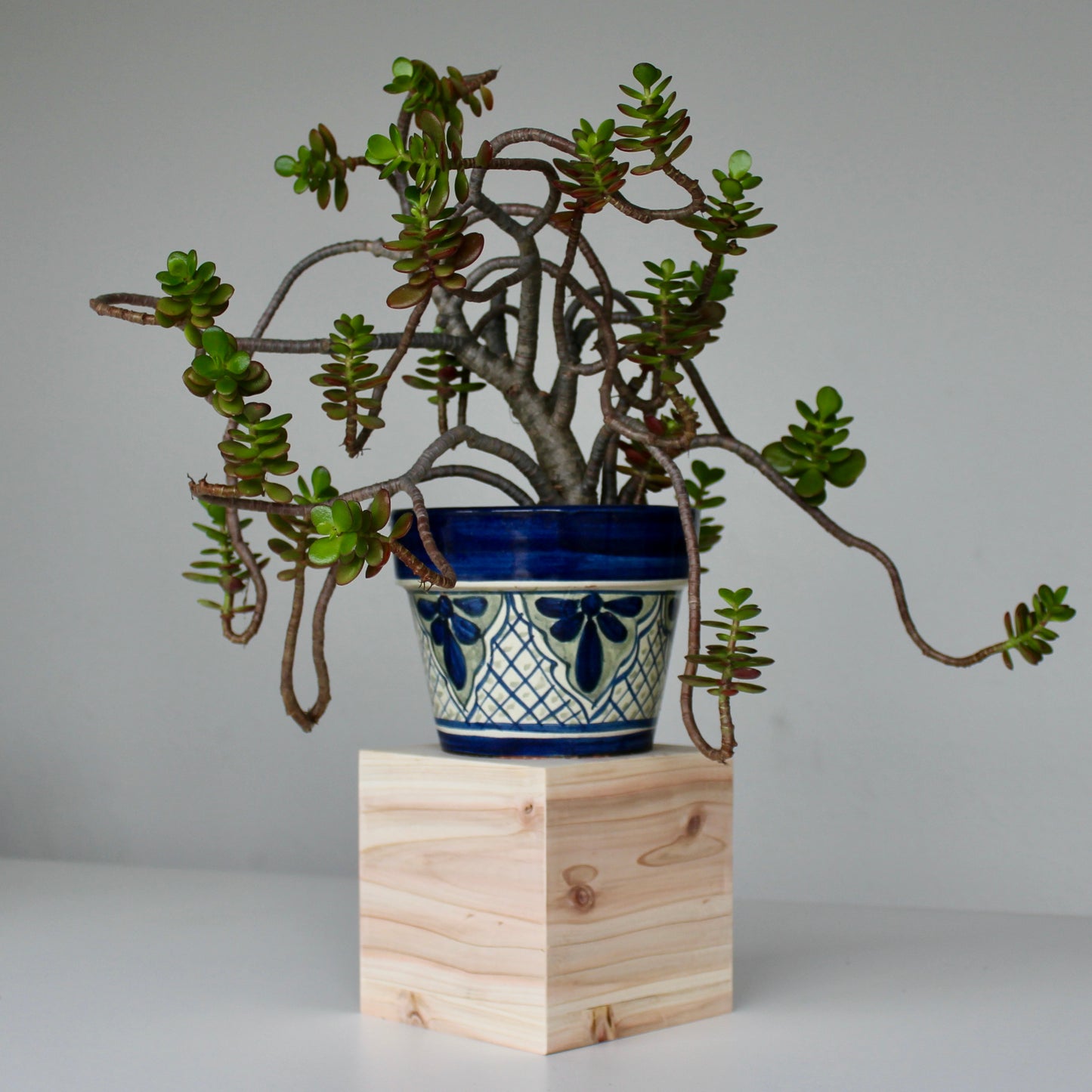 Picaso Plant Stand (6 inch)