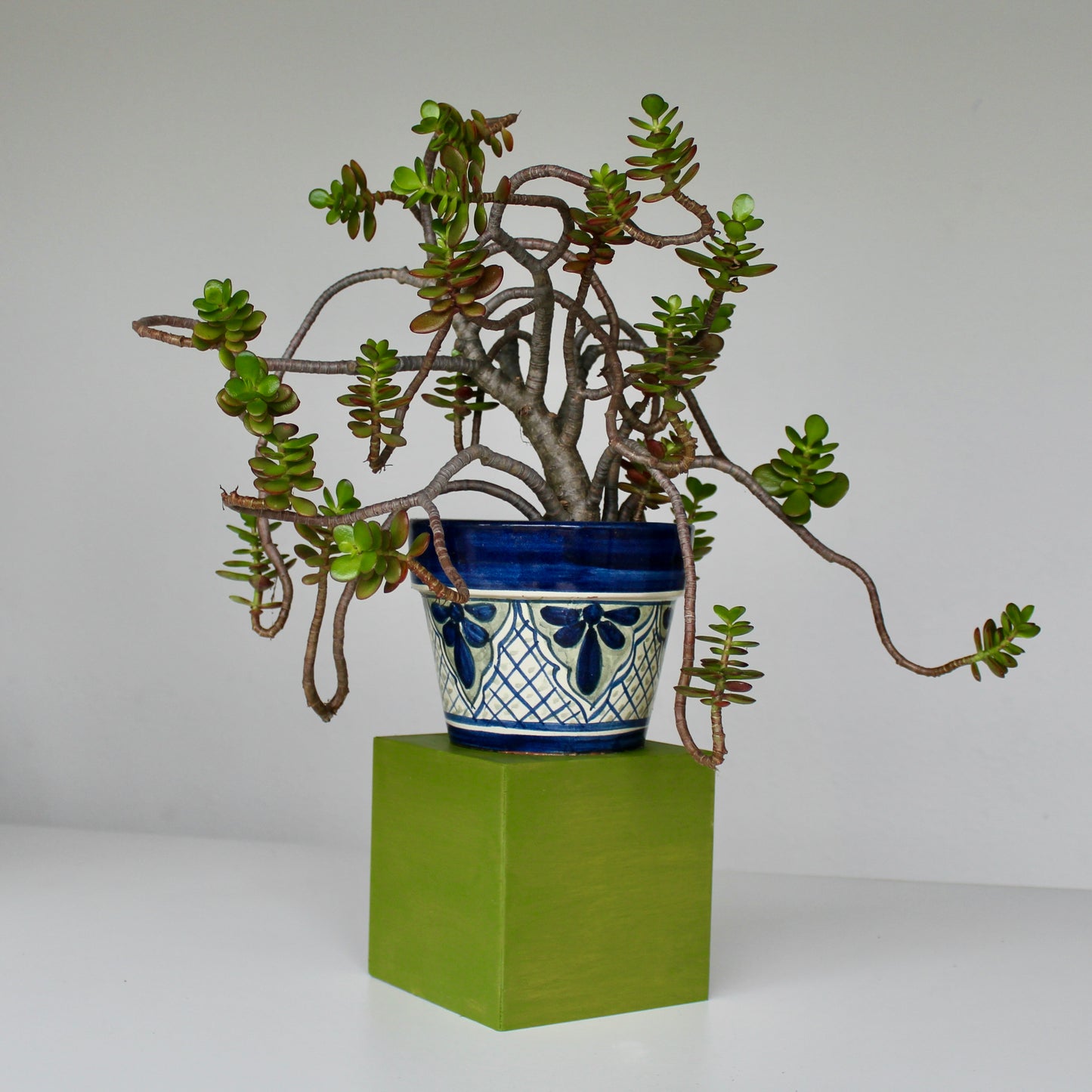 Picaso Plant Stand (6 inch)