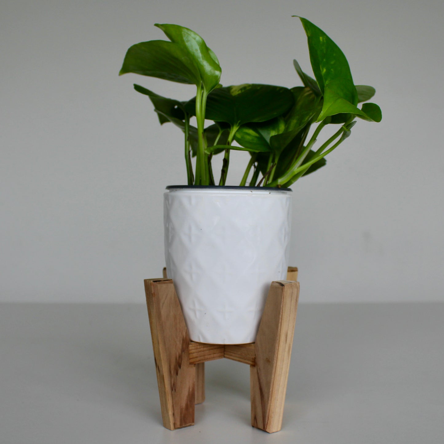 Upcycled 4 in. Rounded Tapered White Pot with Embossed Star Detail and Drainage hole | Natural 4 in. x 4 in. Plant Stand