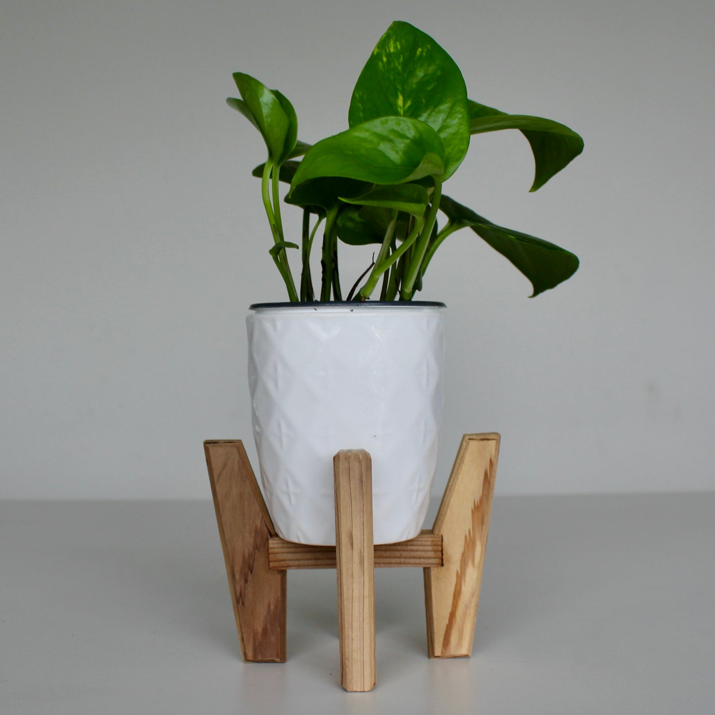 Upcycled 4 in. Rounded Tapered White Pot with Embossed Star Detail and Drainage hole | Natural 4 in. x 4 in. Plant Stand