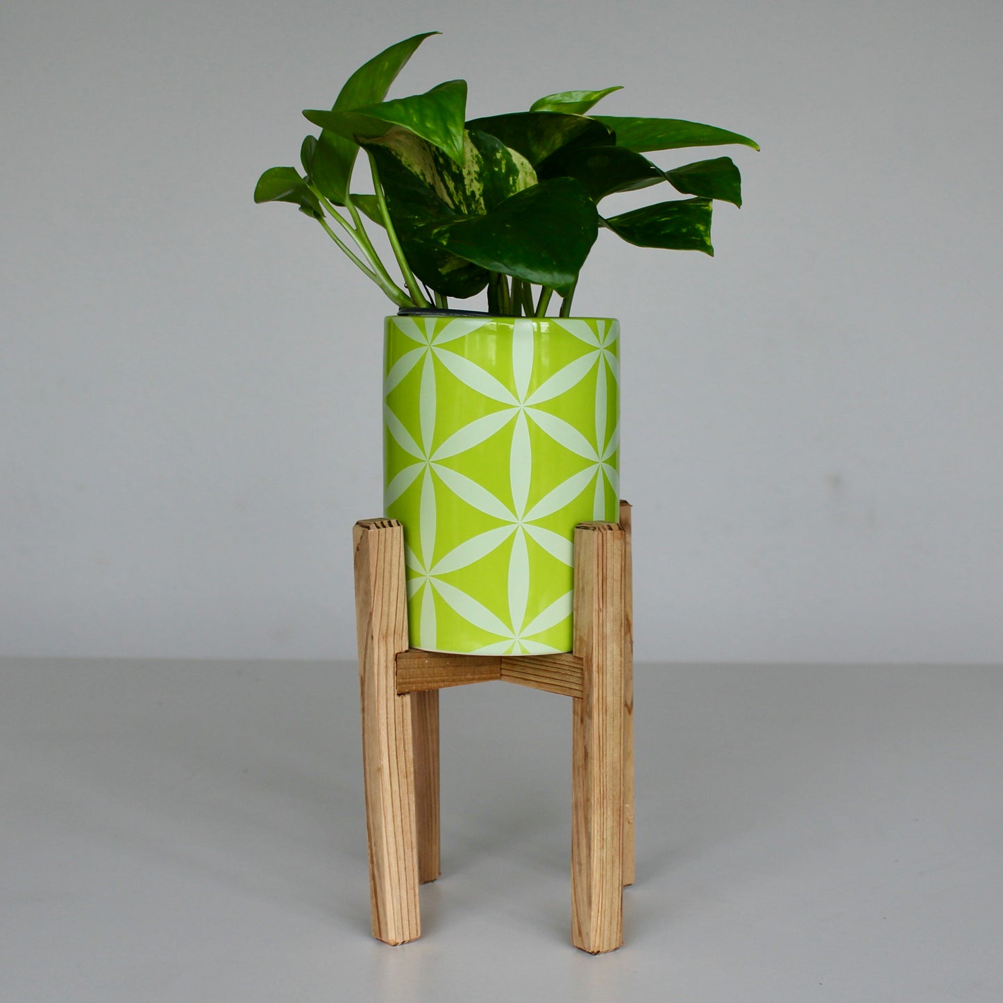 Upcycled 4 in. Straight Green Star Pot with Drainage | Natural 8 in. x 5 in. Plant Stand
