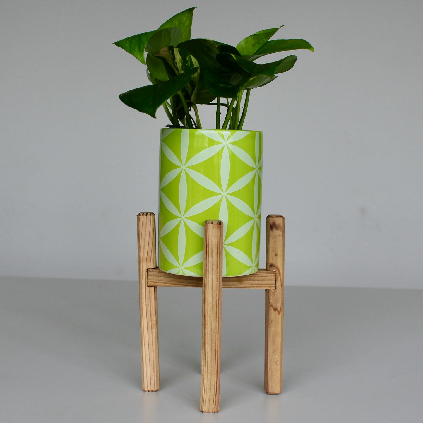 Upcycled 4 in. Straight Green Star Pot with Drainage | Natural 8 in. x 5 in. Plant Stand
