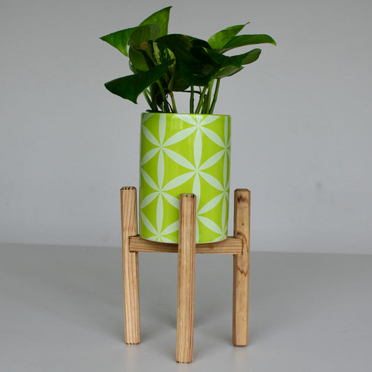 Upcycled 4 in. Straight Green Star Pot with Drainage | Natural 8 in. x 5 in. Plant Stand