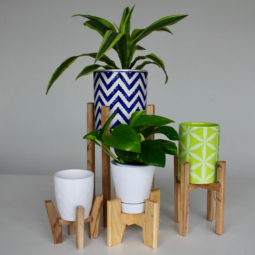 Curated Pots on Plant Stands