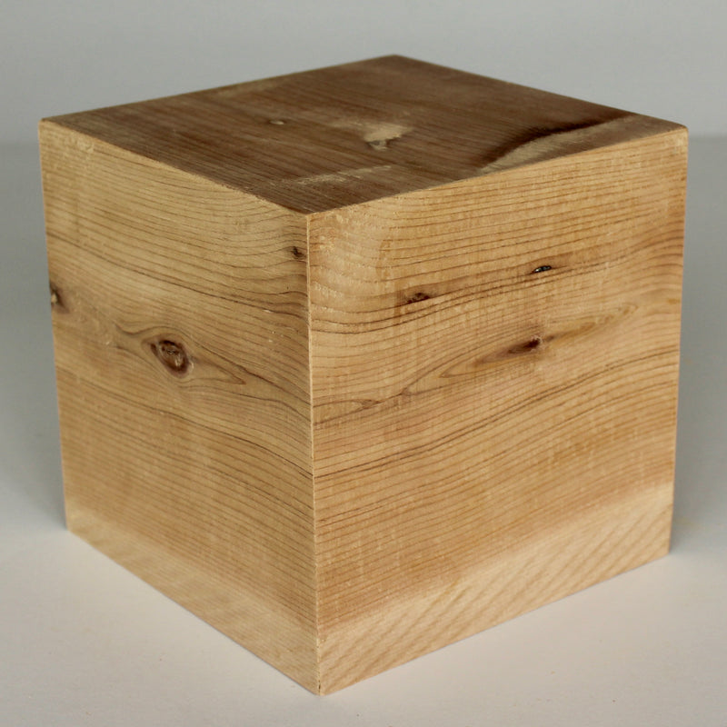 Picaso Plant Stand (8 inch)