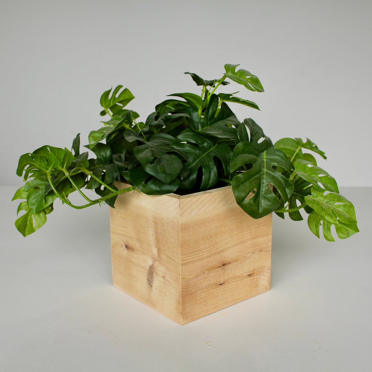 Picaso Plant Stand (8 inch)