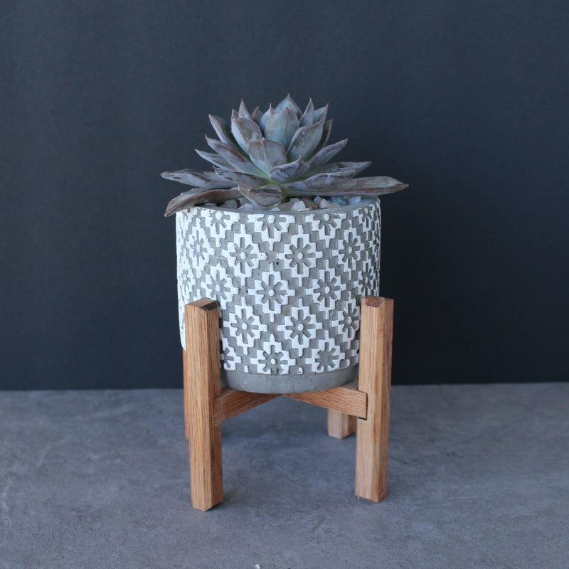 TV+LB | Assembly No. 036